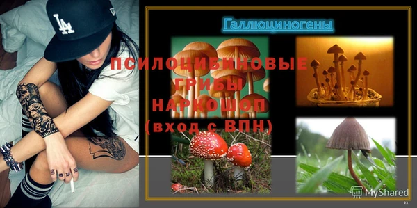 соль ск Покров
